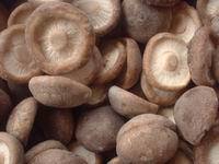 Frozen Shiitake mushroom