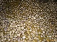 Salted mushroom (brine mushroom,mushroom in drum)