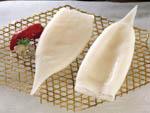 Frozen Illex squid tubes