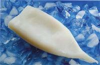 Frozen North Pacific squid tubes