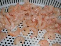 PUD Red Shrimp