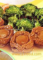 Fungus