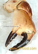 Shellfish
