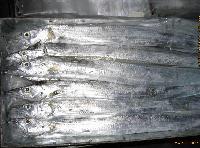 frozen ribbon fish