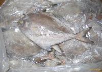 frozen black pomfret