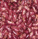 Safflower kidney bean