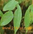 Epimedium P.E.