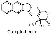 Camptothecin
