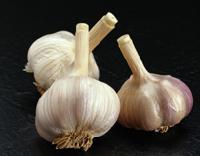 Freeze-dry Garlic Granules