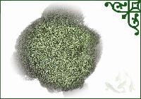 sencha fannings