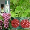 Plant/Seed/Herbal Extracts