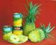 Tropical Fruit Canned series(Pineapple/Lychee/Longan/Bitter Melon...)