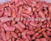 LIGHT RED KIDNEY BEAN