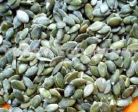 PUMPKIN SEED KERNELS