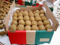 Chinese gooseberry