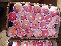 Fuji apples