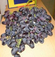 Red  globe  grape