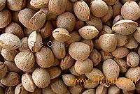almond