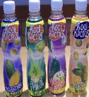 Fruit Juice in PP bottle