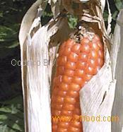 maizemilling product