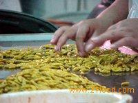 Dried Peppers