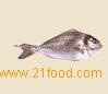 Marico Marine Feed