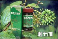 Siberian Ginseng