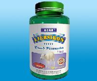 Sheep Placental