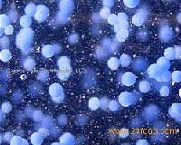 Prilling or Melt Spraying