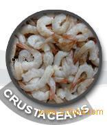 Shrimps and prawns