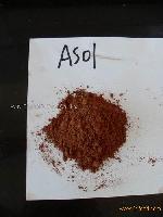  Alkalized   cocoa   powder  ( AS01 )