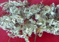 Discolor Cinquefoil Herb