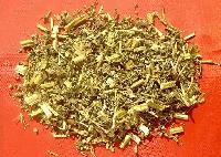 Motherwort Herb