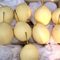pear