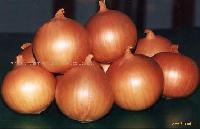 yellow onion