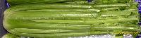 celery