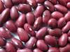 Dark Red Kidney Beans