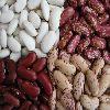 Kidney Beans
