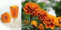 lutein
