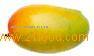Alphonso Mango