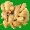 Fresh Ginger