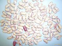 light speckled kidney beans,beans,sugar beans