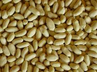 blanched peanut kernels