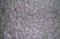 Snow white pumpkin seeds