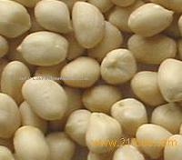 blanched peanut kernels