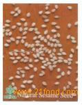 NATURAL SESAME SEED