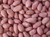 peanut kernels