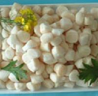 frozen scallop meat