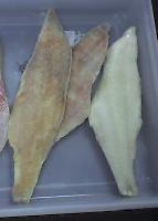 Atlantic Ocean Perch products,Canada Atlantic Ocean Perch supplier