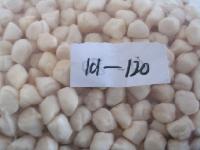  IQF   Scallop 